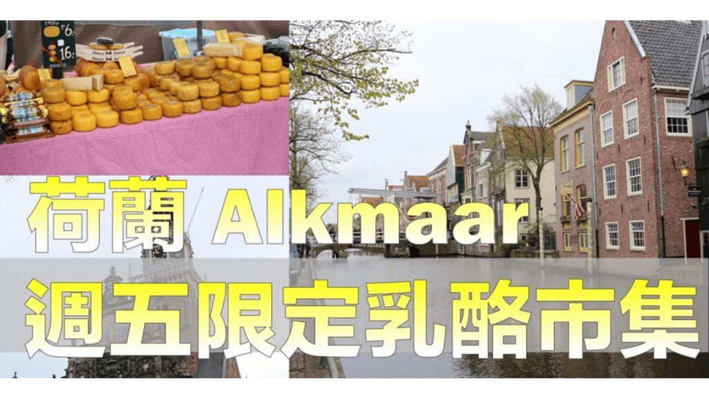 荷蘭Alkmaar乳酪市集