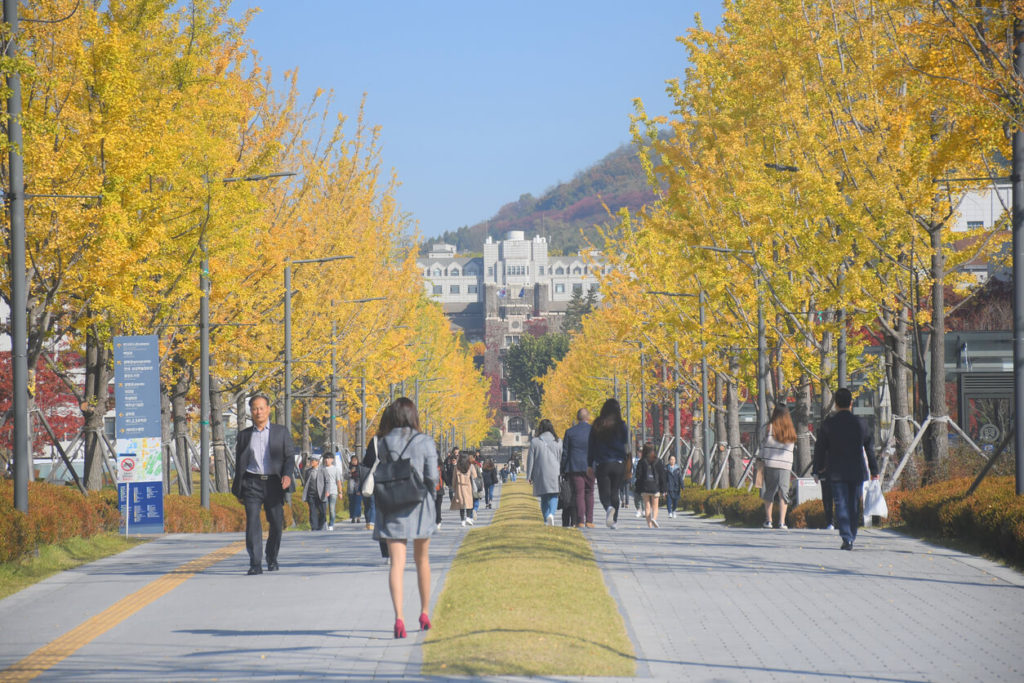 延世大學 (연세대학교 Yonsei University) 的國際學研究所（Graduate School of International Studies, GSIS）