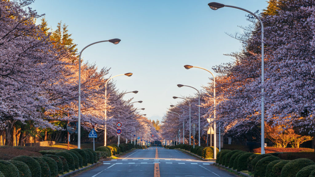 筑波大學 (University of Tsukuba) 日本留學經驗分享