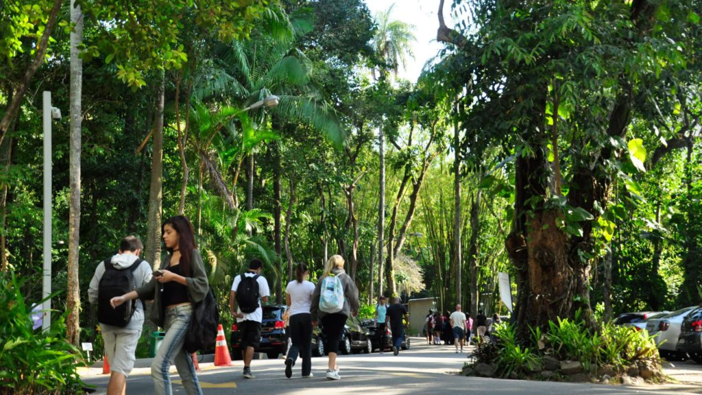 PUC-Rio 里約熱內盧天主教大學 學習環境