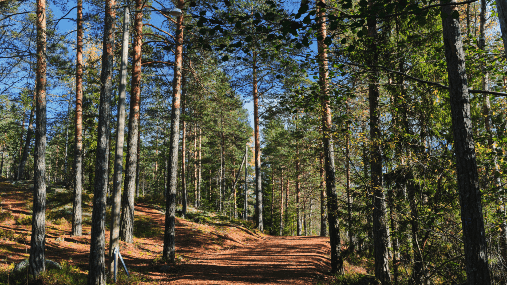 努克西奧國家公園 Nuuksio National Park 在赫爾辛基附近的 Espoo，從赫爾辛基市區出發單程需要大約 1-2 小時車程