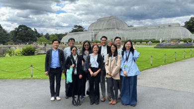 Kew Gardens 提前體驗科系夢幻職場，英國 邱園 的夏日實習時光