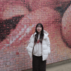 國立臺灣大學 資訊管理學系 - 荷蘭 Maastricht University (馬斯垂克大學) 張禾家 2025 WillStudy 春季海外校園大使