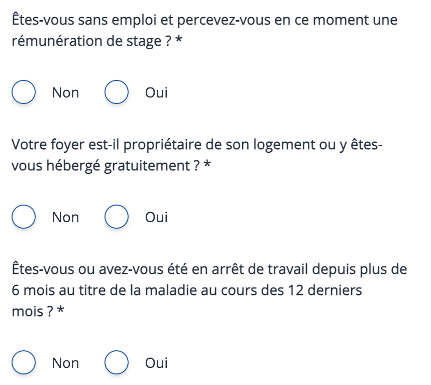 填寫確認無業（含實習中）（Oui），不是房屋持有人（Non），以及近期沒有工作（Non）