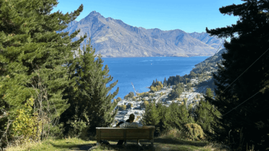 University of Canterbury (UC) Transitioning from Economics to Data Science A Student’s Guide to Interdisciplinary Study