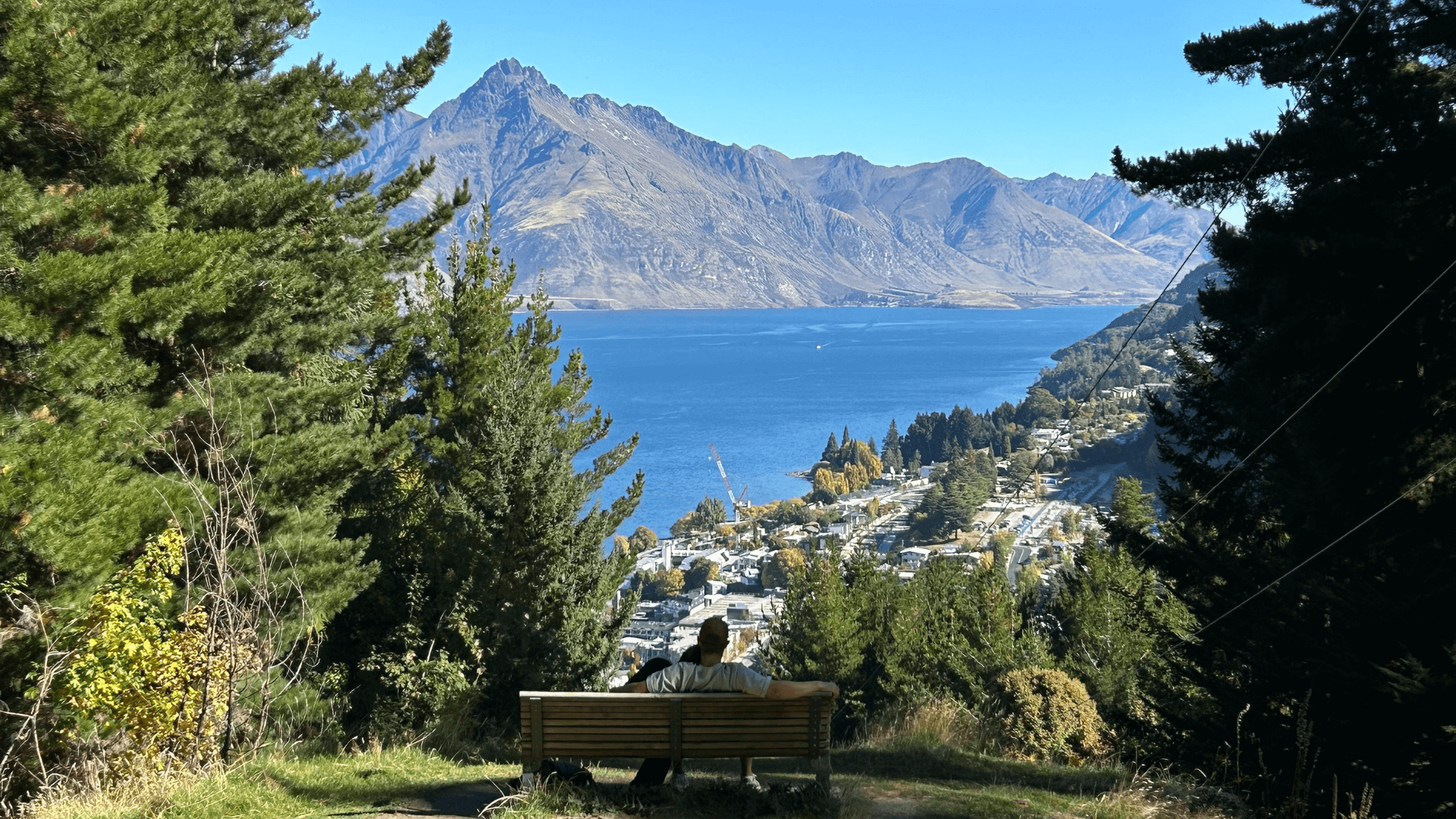 University of Canterbury (UC) Transitioning from Economics to Data Science A Student’s Guide to Interdisciplinary Study