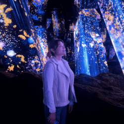 輔仁大學 日本語文學系 - 日本 山形大學 Kaku 2026 WillStudy 春季海外大使 (創作者合作)